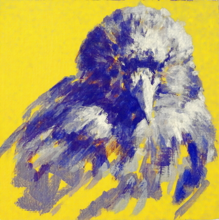 CROW